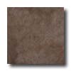 Armstrong Armstrong Slate 13 X 13 Brown Tile  &  Stone