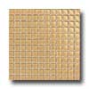 Daltile Daltile Maracas Glass Mosaics - Frosted Golden Rod Tile  &  Stone
