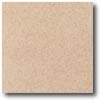 Daltile Daltile Vitrestone Select 12 X 12 Buffstone Tile  &  Stone