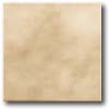 Daltile Daltile Sierra 12 X 12 Aspen Tile  &  Stone