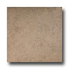 Emser Tile Emser Tile Padua 18 X 18 Tuscany Tile  &  Stone