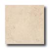 Armstrong Armstrong Artifact Room 12 X 12 Antique White Tile  &  Stone