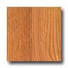 Tarkett Tarkett Unique Southern Red Oak Laminate Flooring