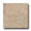 Earth Werks Earth Werks Aspen Aa803 Vinyl Flooring