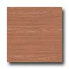 Earth Werks Earth Werks Natural Plank 4010 Vinyl Flooring