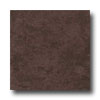Ergon Tile Ergon Tile Alabastro Evo 16 X 16 Polished Moka Tile  &  Stone