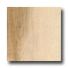 Stepco Stepco Hard Maple 6 Unfinished Hard Maple - Clear Hardwood Floor