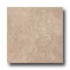 Ragno Ragno Marmi Di Rapolano 20 X 20 Radda No Tile  &  Stone