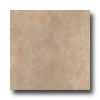Italgres Italgres Bari 10 X 13 Beige Tile  &  Stone