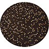 Radici USA Radici Usa Elegance 8 Round Chocolate Truffle Area Rugs