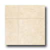 Tarkett Tarkett Preference Plus Nt - Riverview 6 Hay Seed Vinyl Flooring