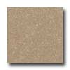 Santa Regina Santa Regina Architectural 24 X 24 (antique) Desert Tan Terrazzo