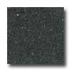 Santa Regina Santa Regina Architectural 24 X 24 (polished) Midnight Terrazzo