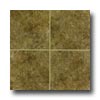 Mohawk Mohawk Bella Rocca 6 X 6 Tuscan Brown Tile  &  Stone