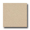 Armstrong Armstrong Medintech Homogeneous Desert Gold Vinyl Flooring