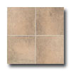 Mohawk Mohawk San Rocco 6 X 6 Bisque Tile  &  Stone