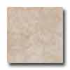 Tesoro Tesoro Forum 20 X 20 Ivory Tile  &  Stone