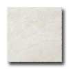 Ragno Ragno Princeps 20 X 20 Cesare Bi Tile  &  Stone