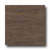 Earth Werks Earth Werks Warwick Plank Aw626 Vinyl Flooring