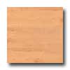 Earth Werks Earth Werks Aberdeen Plank 4923 Vinyl Flooring