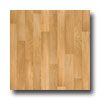 Tarkett Tarkett Infinity - American Elm Golden Elm Vinyl Flooring