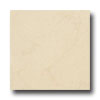 Ergon Tile Ergon Tile Silk Marfil 16 X 16 Polished Bianco Select Tile  &  Sto