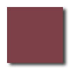 Daltile Daltile Festiva 4 1 / 4 X 4 1 / 4 Bordeaux Tile  &  Stone