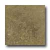 Portobello Portobello Baschi 12 X 12 Noce Tile  &  Stone