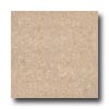 Wicanders Wicanders Series 100 Personality With Wrt Champagne Cork Floorin