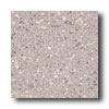 Crossville Crossville Cross-colors Lp 6 X 6 Ups Granite Gray Tile  &  Stone