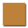 Milliken Milliken Harmony 8 Square Butterscotch Area Rugs