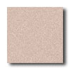 Crossville Crossville Cross-plus 6 X 6 Truffle Tile  &  Stone