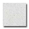 Santa Regina Santa Regina Architectural 24 X 24 (polished) Bone White Terrazz