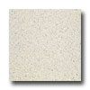 Armstrong Armstrong Medintech Tandem Inlaid Color Fleck Vinyl Flooring