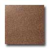 Interceramic Interceramic Antique Metals 6 X 6 Hammered Hammered Copper Tile