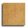 Robbins Robbins Canadian Birch Plank 4  Sunset Hardwood Flooring