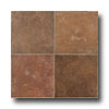 Esquire Tile Esquire Tile Chateau Lyon 18 X 18 Spice Tile  &  Stone