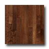 Robbins Robbins Urban Exotics Collection Plank Birch 3 1 / 4 Umber Hardwoo