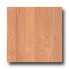 Pergo Pergo Accolade With Underlayment Medium Cherry Laminate Flooring