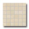 Cerim Ceramiche Cerim Ceramiche Silverstone Mosaic Canyon Sandstone Tile  &  Stone