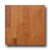Anderson Anderson Classic Hickory Homespun Hardwood Flooring