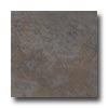 American Olean American Olean Highland Ridge 6 X 6 Autumn Tile  &  Stone