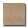 Daltile Daltile Kimona Silk 2 X 24 Sprout Tile  &  Stone