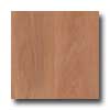 Earth Werks Earth Werks Wood Antique Plank Nwt0403cdbe Vinyl Flooring