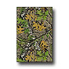 Milliken Milliken Mossy Oak Collection 5 X 8 Obsession Solid Camo Area Ru