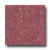 Mannington Mannington Brushwork Carmine Red Vinyl Flooring