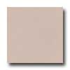 Marazzi Marazzi Le Cromie Matt Natural 12 X 12 Rodonite Tile  &  Stone
