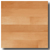 Metroflor Metroflor Tru-woods Collection - Tick Beech Vinyl Flooring