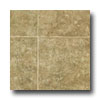 Tarkett Tarkett City View - Ceramica Boulevard 12 Arizona Tan Vinyl Floo