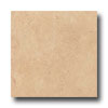 Ergon Tile Ergon Tile Lagos 24 X 24 Beige Cascais Tile  &  Stone